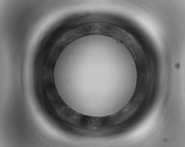 X0000102340142200808151736