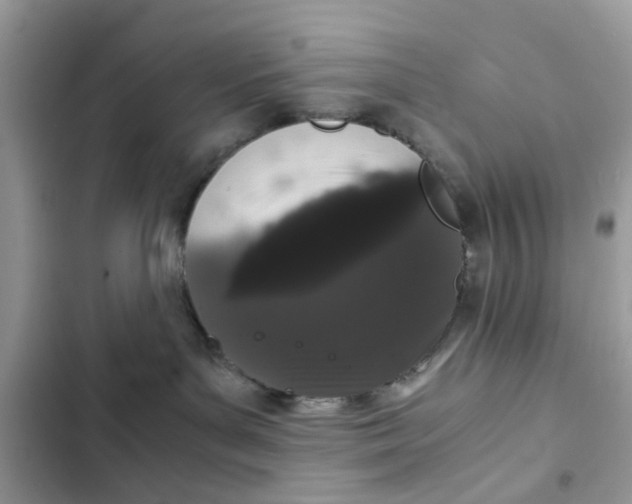 X0000102340143200808151736