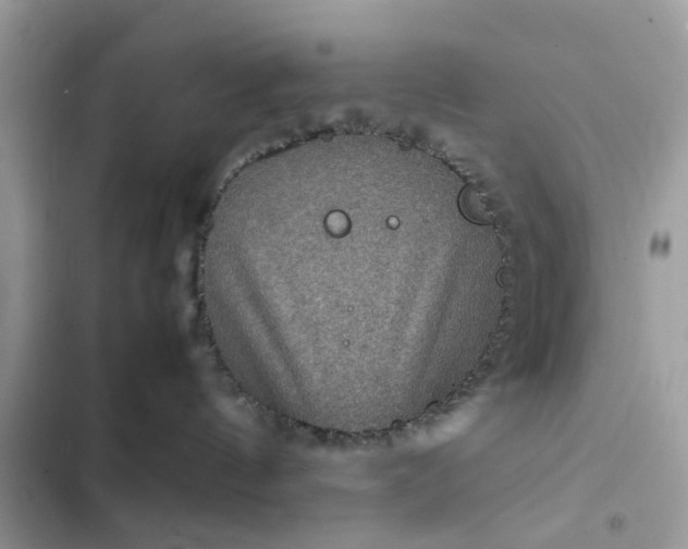 X0000102340144200808151736