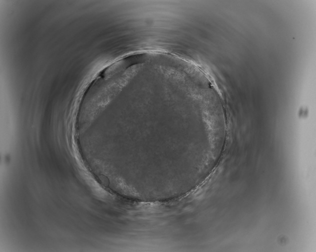 X0000102340145200808151736