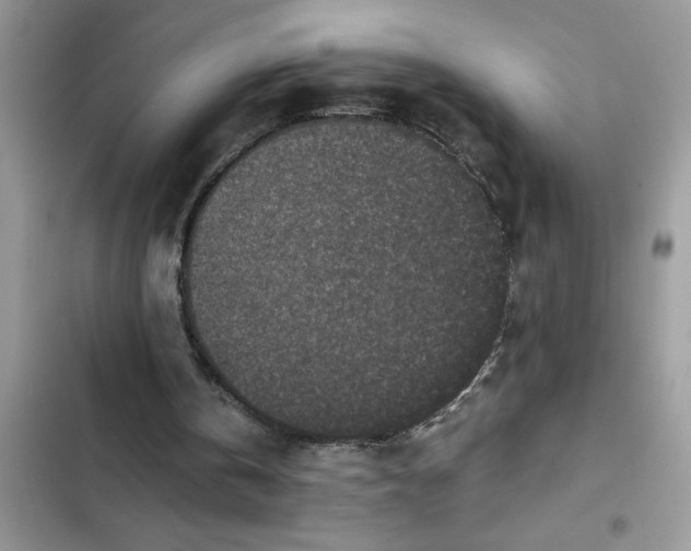 X0000102340146200808151736