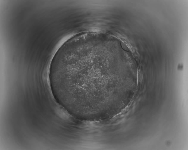 X0000102340147200808151736