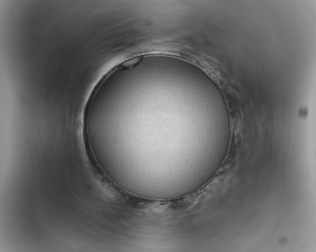 X0000102340148200808151736