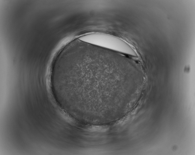 X0000102340149200808151736