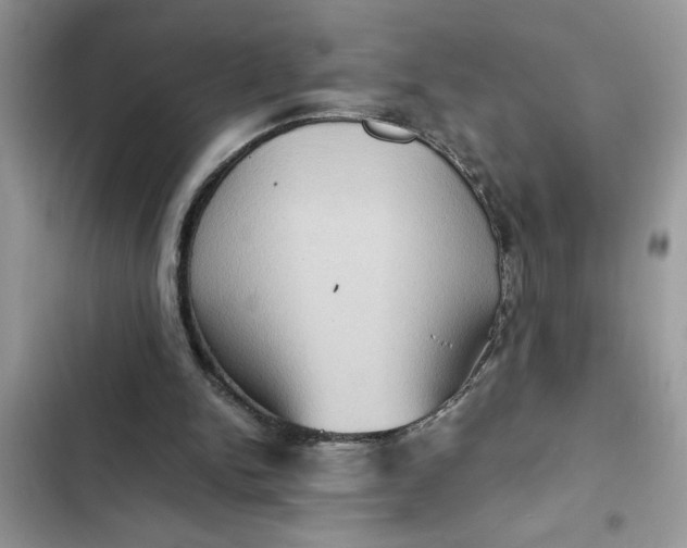 X0000102340150200808151736