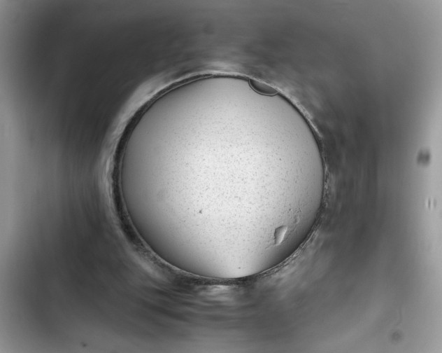 X0000102340151200808151736