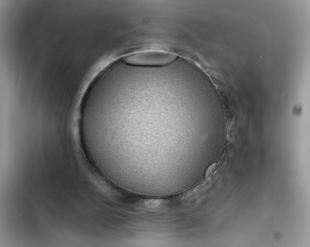 X0000102340152200808151736