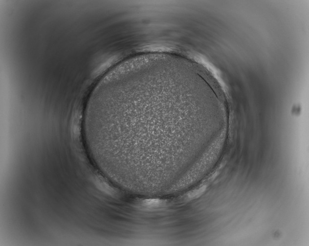 X0000102340153200808151736