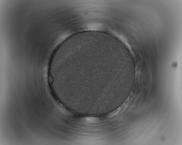 X0000102340154200808151736