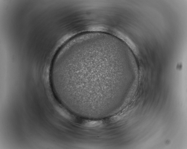 X0000102340155200808151736