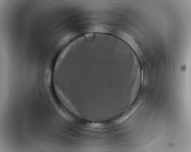 X0000102340157200808151736