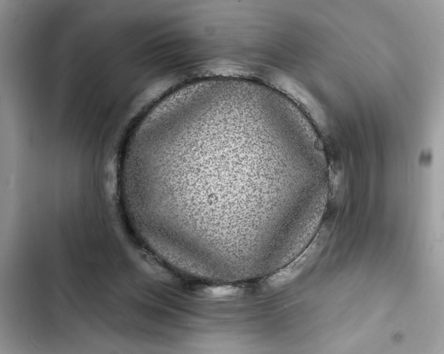 X0000102340158200808151736