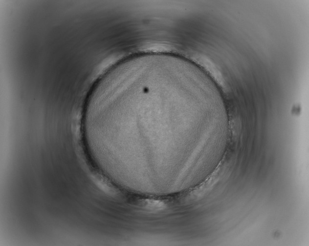 X0000102340159200808151736