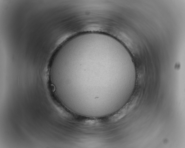 X0000102340160200808151736