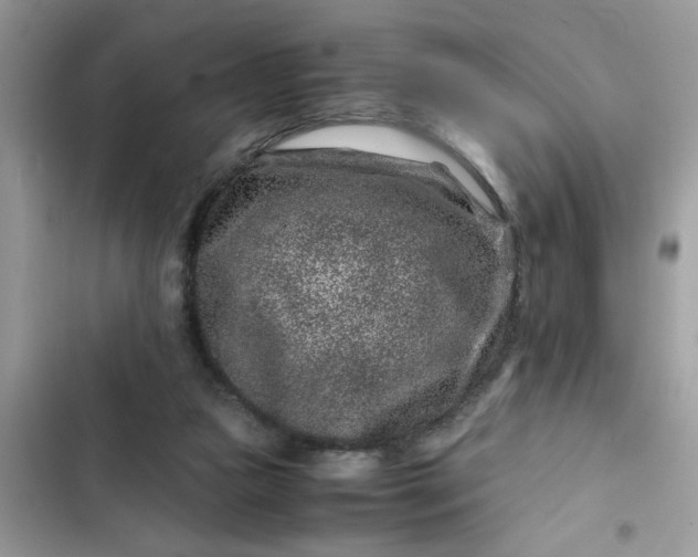 X0000102340161200808151736