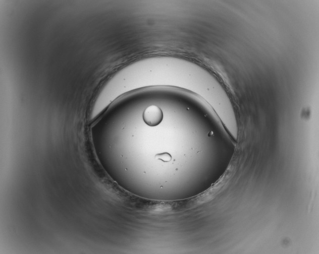 X0000102340162200808151736