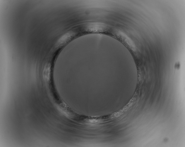 X0000102340163200808151736