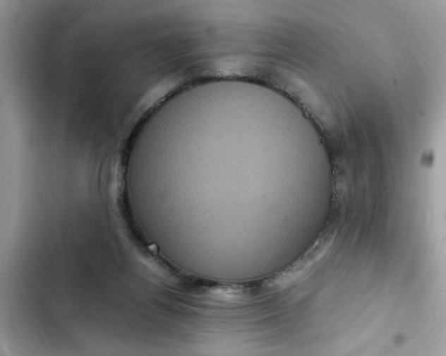 X0000102340164200808151736