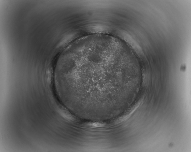 X0000102340165200808151736