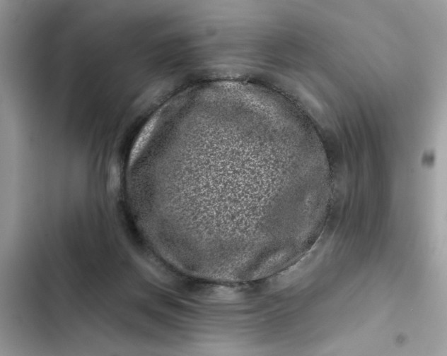 X0000102340166200808151736