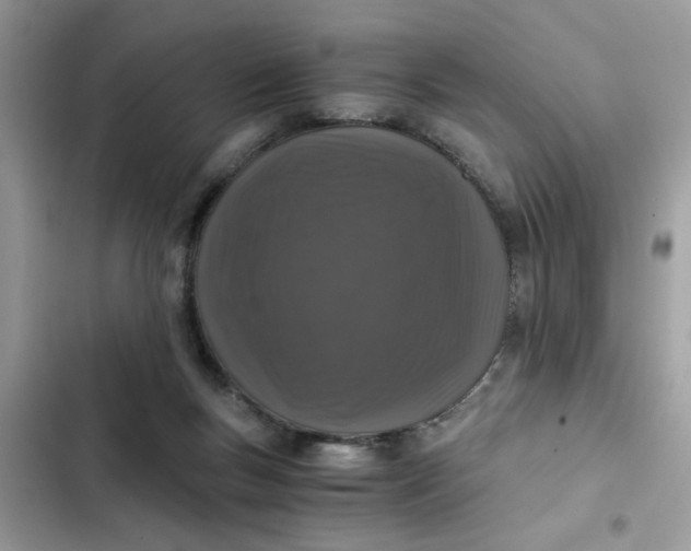 X0000102340167200808151736