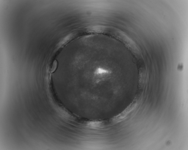 X0000102340168200808151736