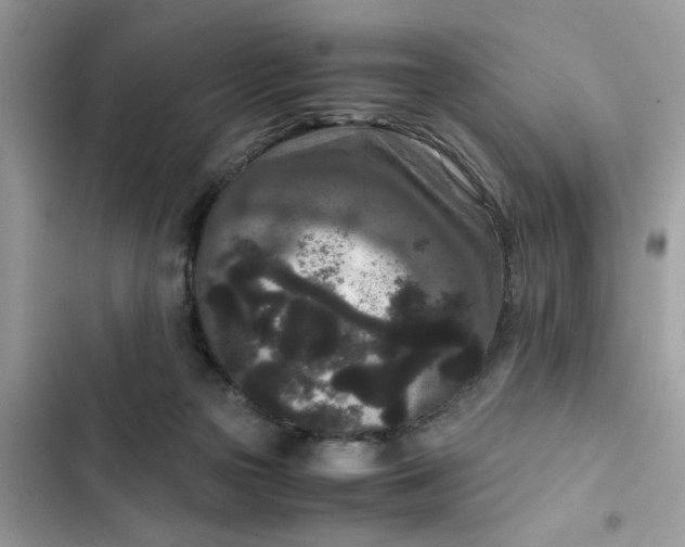 X0000102340169200808151736