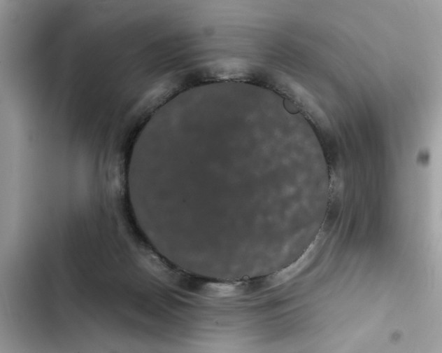 X0000102340170200808151736