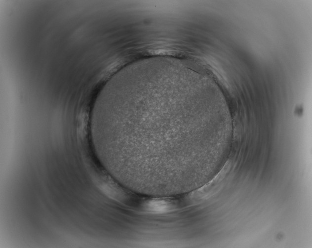 X0000102340171200808151736