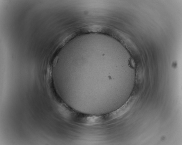 X0000102340172200808151736