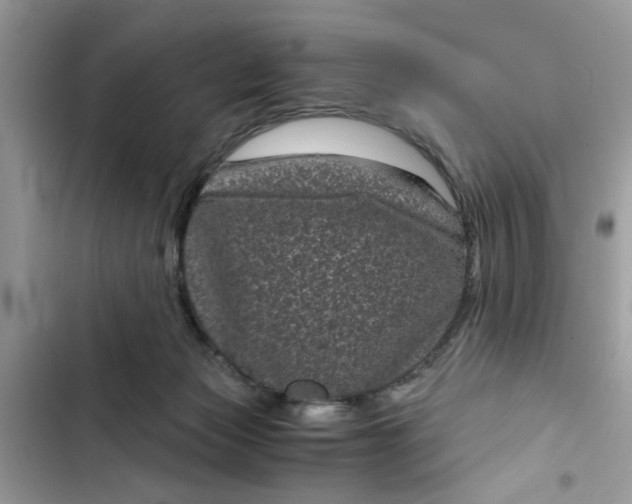 X0000102340173200808151736