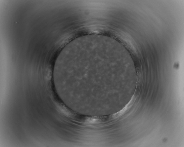 X0000102340174200808151736