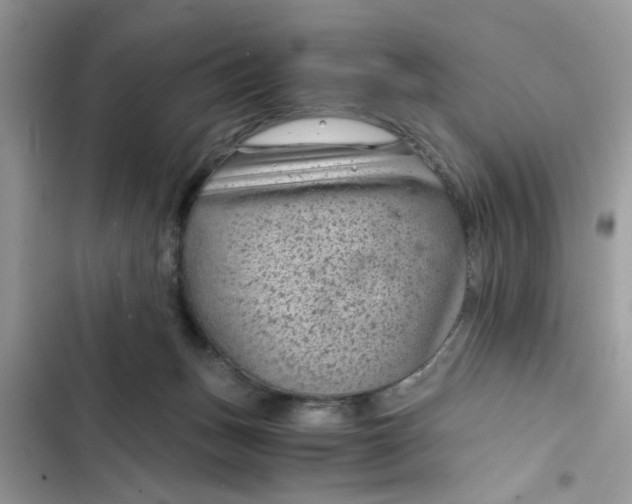 X0000102340175200808151736