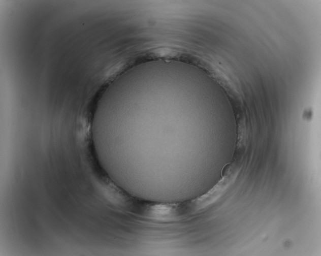 X0000102340176200808151736