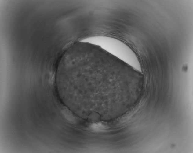 X0000102340177200808151736