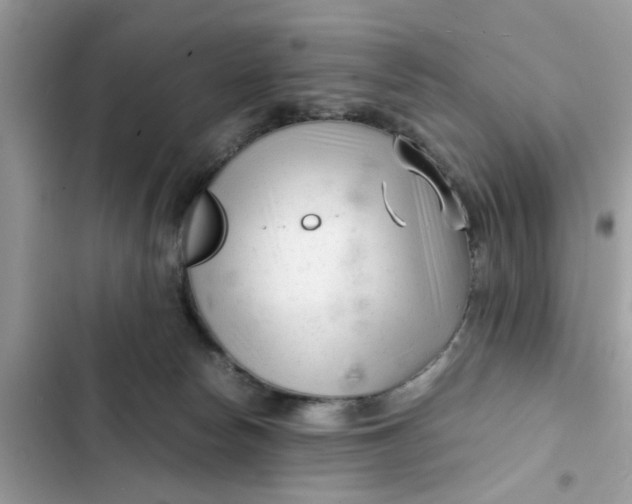 X0000102340178200808151736