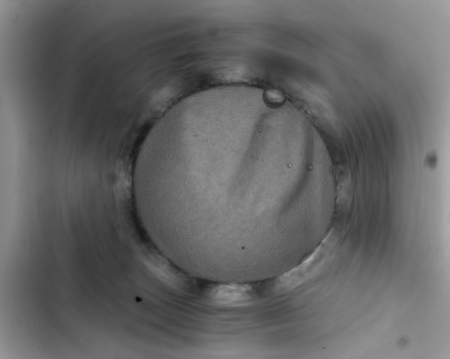 X0000102340179200808151736