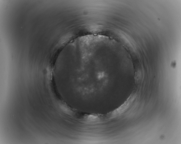 X0000102340180200808151736