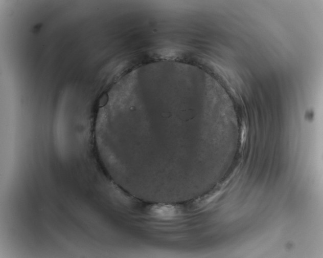 X0000102340181200808151736