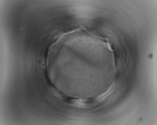 X0000102340182200808151736