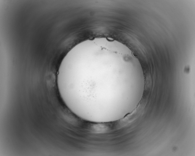 X0000102340183200808151736