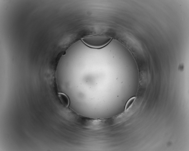 X0000102340184200808151736