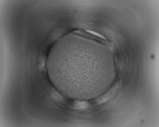 X0000102340185200808151736