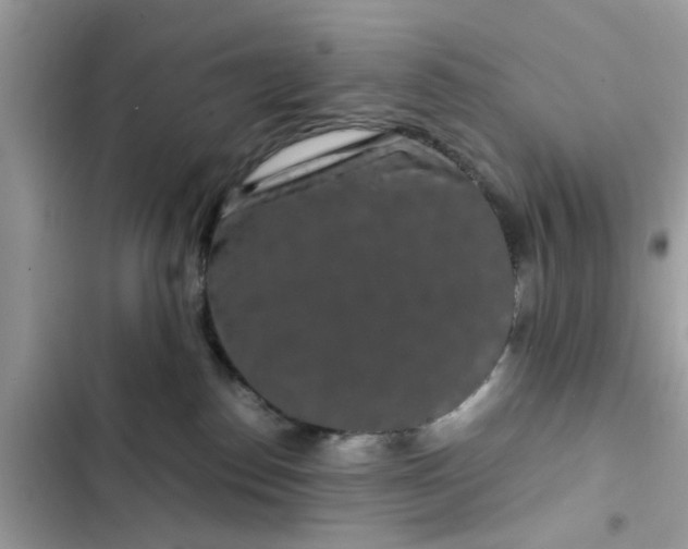 X0000102340186200808151736