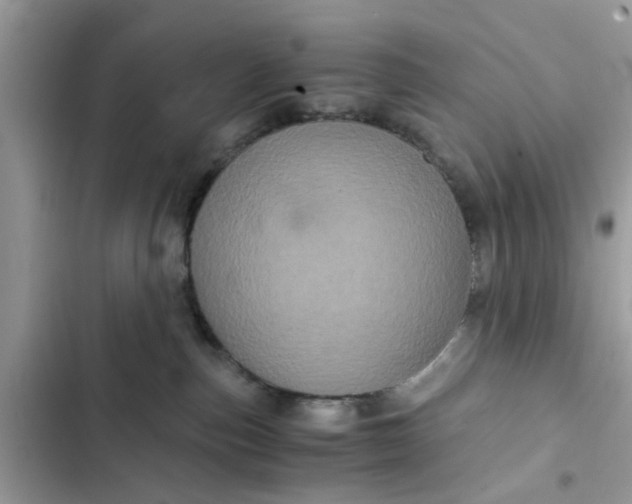 X0000102340187200808151736