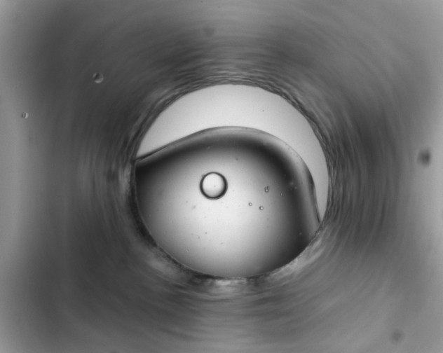 X0000102340188200808151736