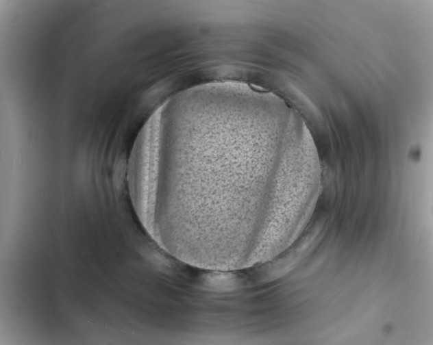 X0000102340189200808151736