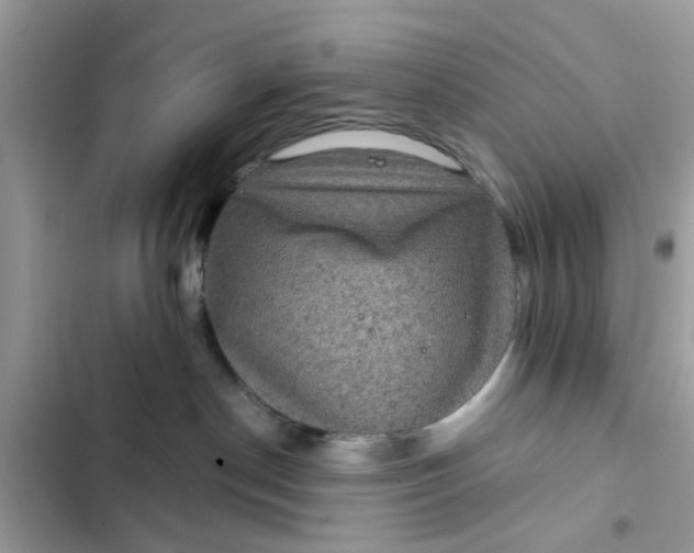 X0000102340190200808151736