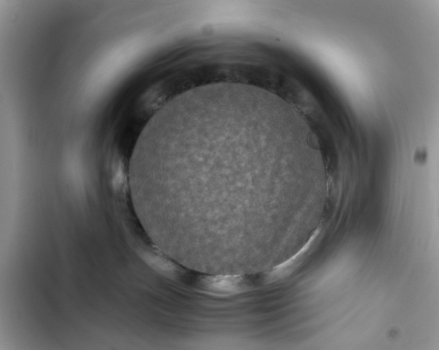 X0000102340191200808151736