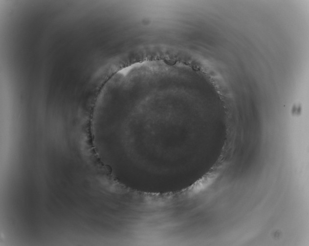 X0000102340192200808151736